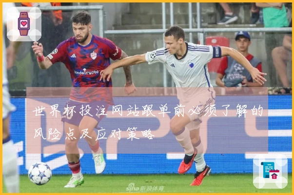 世界杯投注网站跟单前必须了解的风险点及应对策略