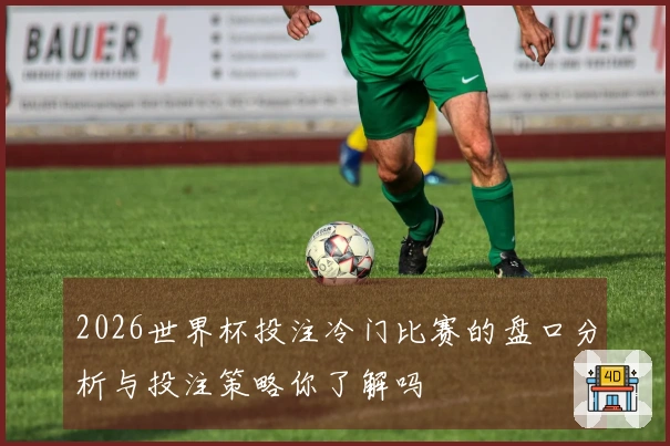2026世界杯投注冷门比赛的盘口分析与投注策略你了解吗