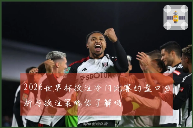 2026世界杯投注冷门比赛的盘口分析与投注策略你了解吗