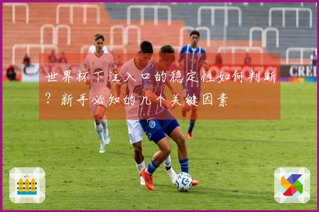 世界杯下注入口的稳定性如何判断？新手必知的几个关键因素